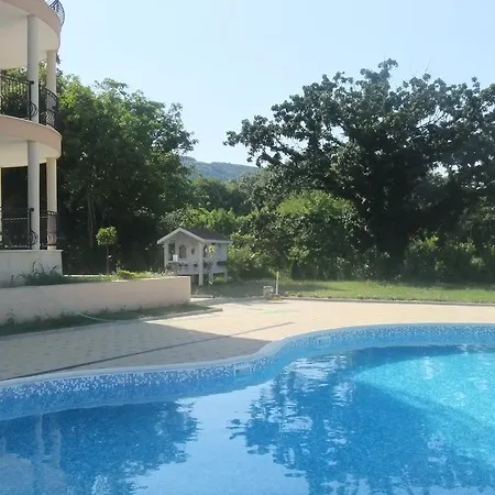 South * Obzor
